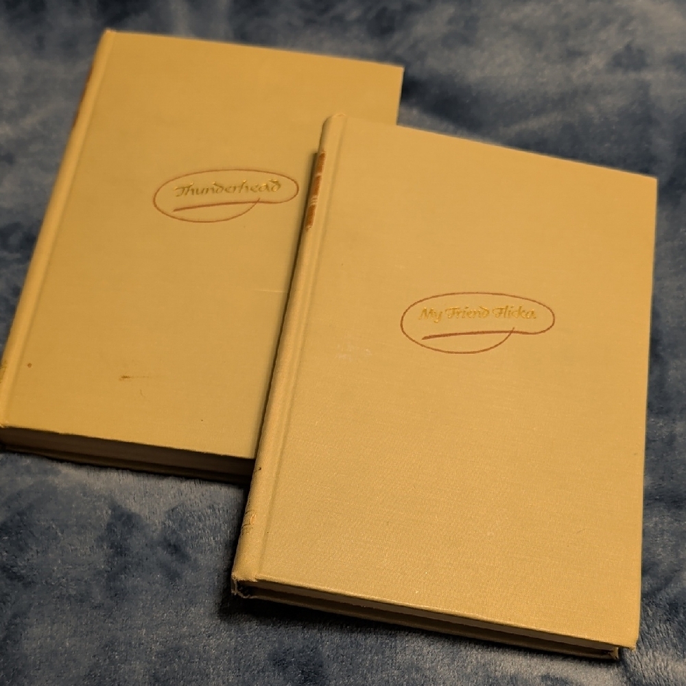 Classic Beige Hardcover Books Set from Story Press Books